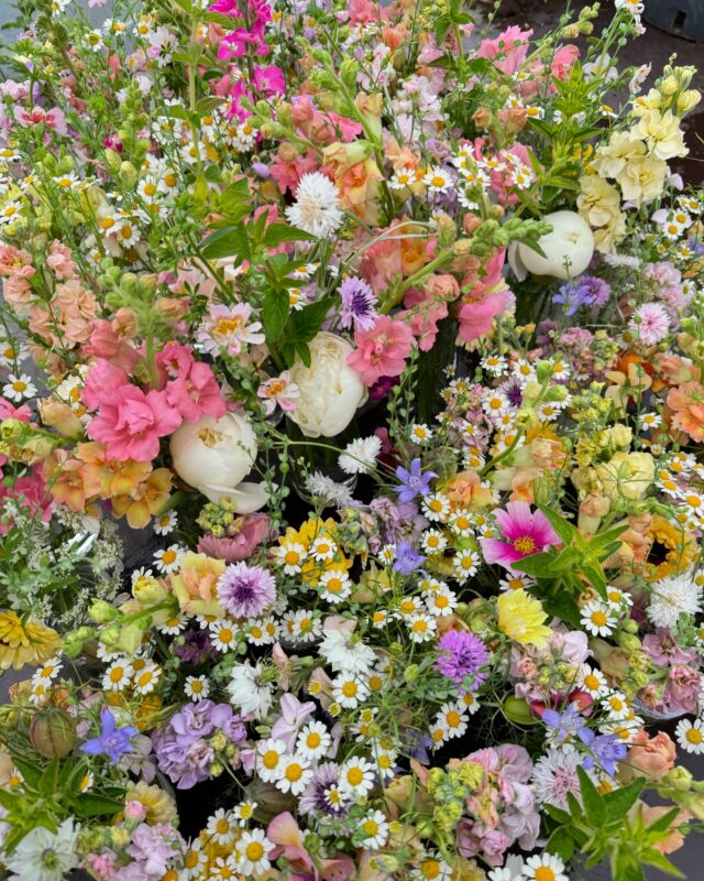 Malgré le temps bien pourri de ce week end il y avait quelques bouquets et une chouette déco à réaliser ! 

#slowflowersbelgique#fleursdesaison#fleurslocales