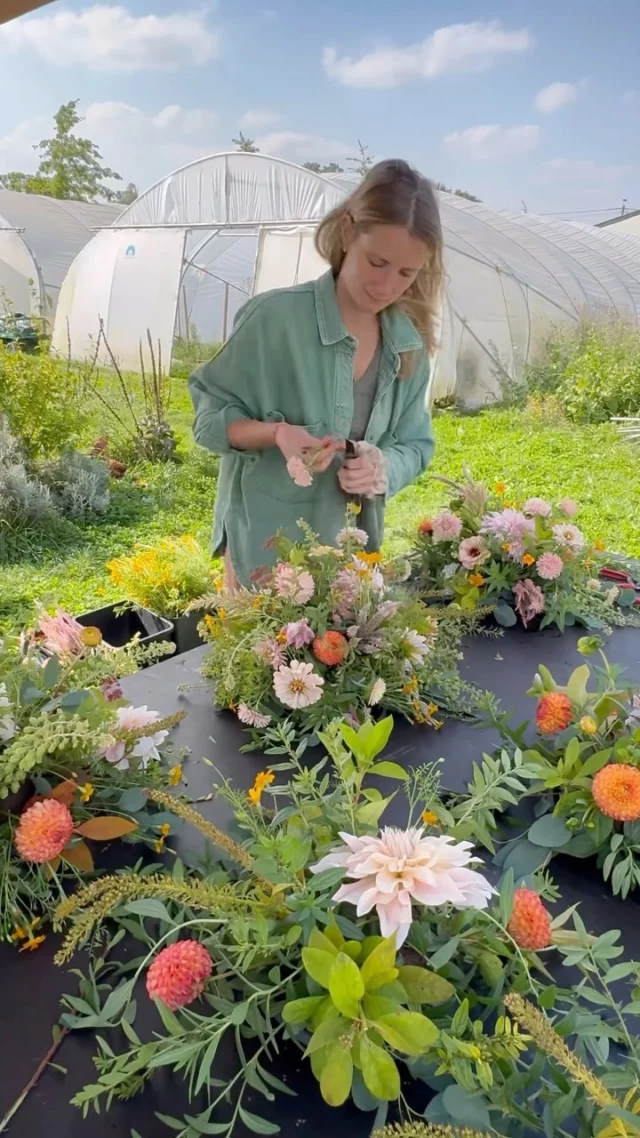 Petit aperçu de l’un des deux mariages de ce week end. L’un d’eux avec une palette plutôt pastel et l’autre plutôt rose avec une petite touche d’orange et toujours avec nos fleurs locales et de saison. 

#slowflowersbelgique#weddingday#mariage#dahlias#fleursdesaison#fleurslocales