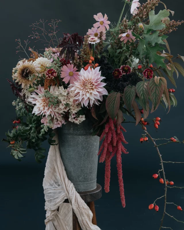 Ce matin, le champ est plongé dans un brouillard épais, cette atmosphère particulière que l’on ne peut attribuer qu’à l’automne.
On distingue encore les quelques dahlias toujours en fleurs et au loin toute la végétation et ses couleurs automnales.

Ça me fait penser à cette photo d’un shooting réalisé avec Cynthia l’automne passé avec les fleurs de fin de saison dont les magnifiques Dahlias café au lait. 

C’est le moment idéal pour vous partager ce chouette souvenir.

📸 @cynthiatbv.storyteller 

#autumnflowers#slowflowers#slowflowersbelgique